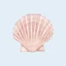 natalie 🐚 的個人檔案照片
