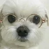 Somora 的個人檔案照片