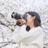 Artemis ☽ Tomomiのプロフィール画像