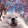 Vix Clotetのプロフィール画像
