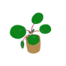 Grassdenerのプロフィール画像