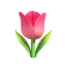 Raafa 的個人檔案照片
