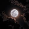 M. Anamaria | moonwriterのプロフィール画像
