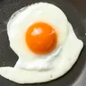 Foto do perfil de Egg
