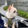 keikoikeのプロフィール画像